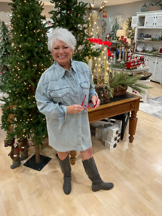 DENIM BUTTON DOWN SHIRT DRESS(AD4352