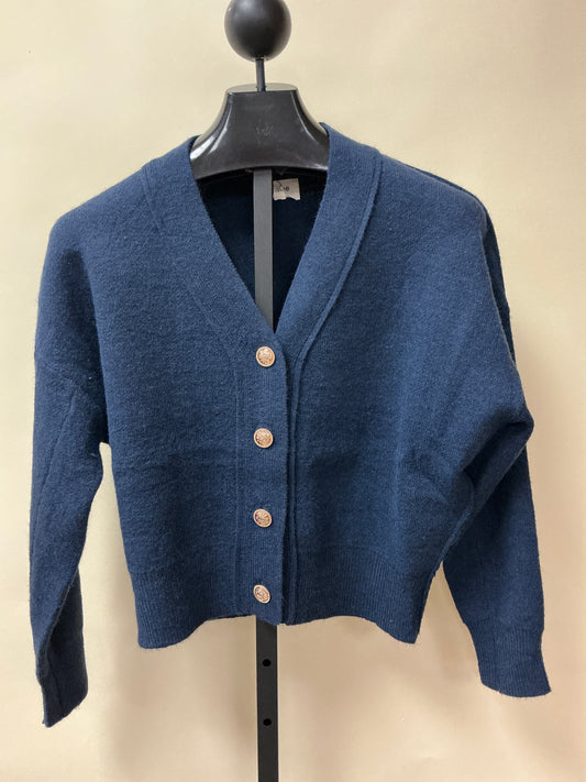 BLUE BUTTON UP CARDIGAN
