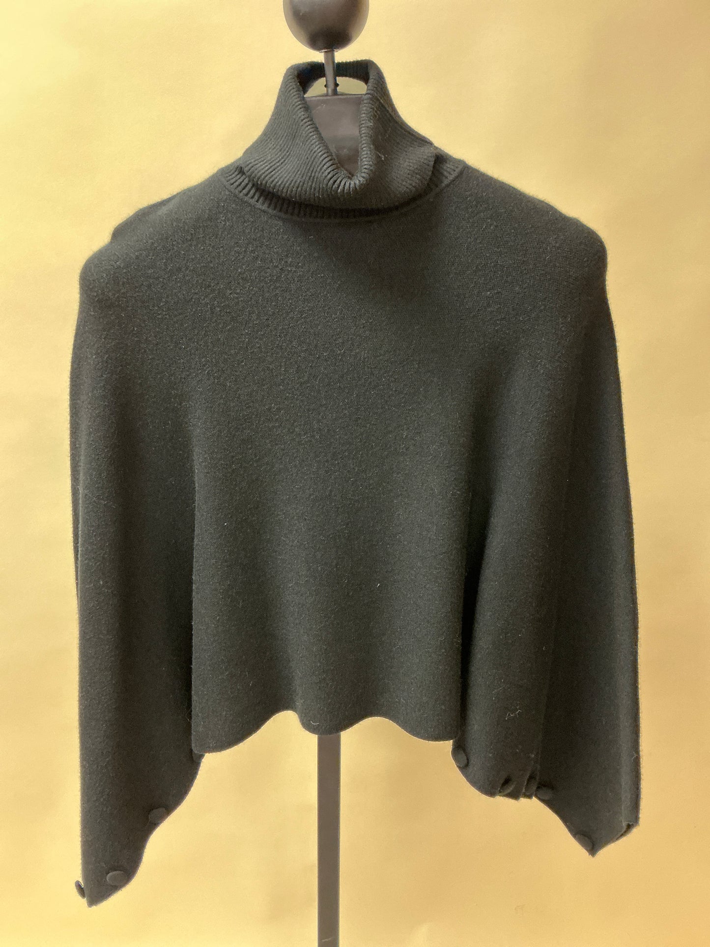 TURTLE NECK RAGLAN SLV SWEATER (5925W