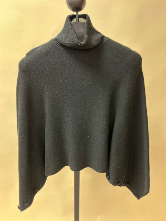TURTLE NECK RAGLAN SLV SWEATER (5925W